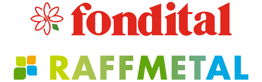 RAFFMETAL SPA