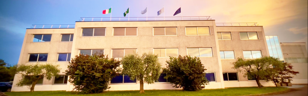 TESEO SRL