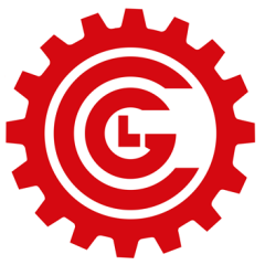 CARAVAGGI SRL